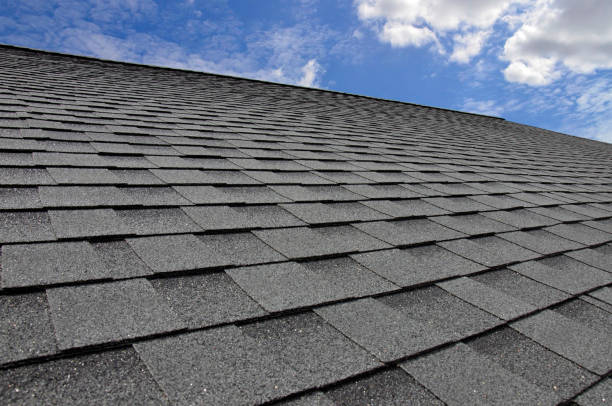 Trusted Elgin, SC Roofing Experts